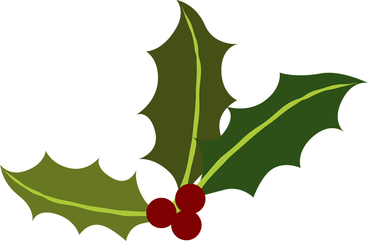 Holly Leavesand Berries Vector PNG Image