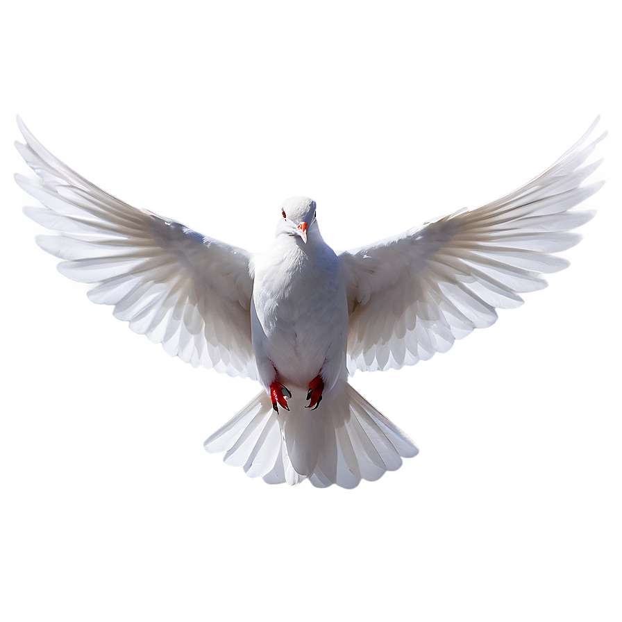 Holy Spirit Dove Png 05042024 PNG Image