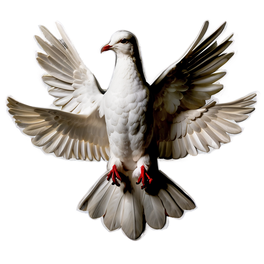 Holy Spirit Dove Png 94 PNG Image