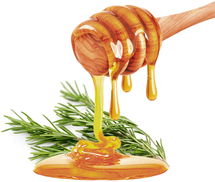 Honey Drippingon Rosemary Sprig PNG Image