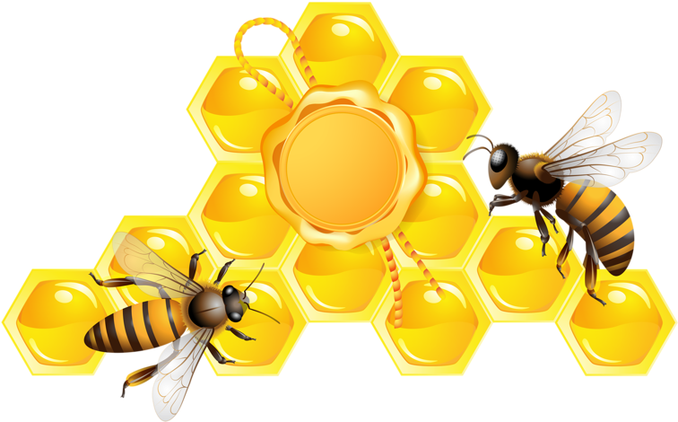 Honeybeeon Honeycomb Clipart PNG Image