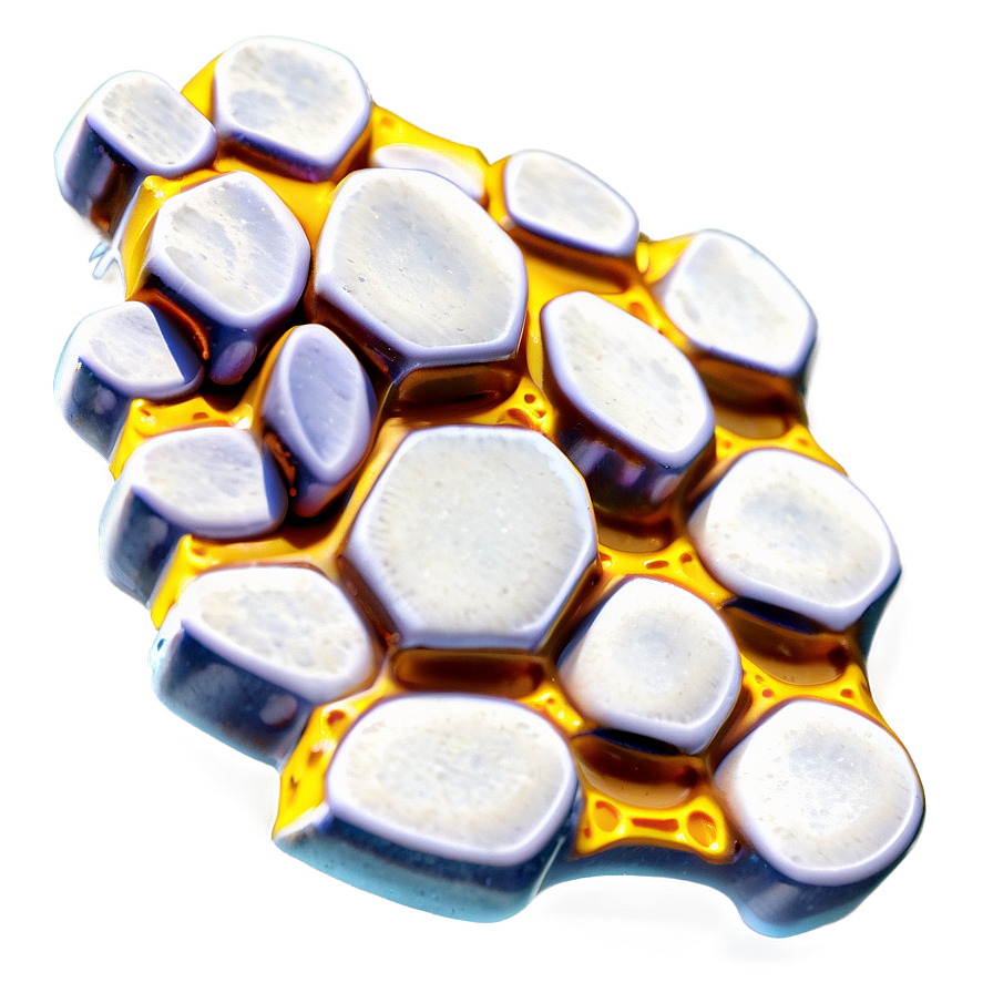 Honeycomb Cells Png 90 PNG Image