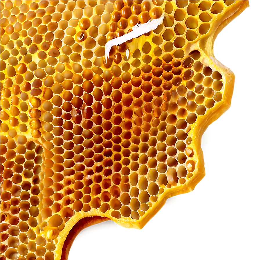 Honeycomb Closeup Png Sgg PNG Image