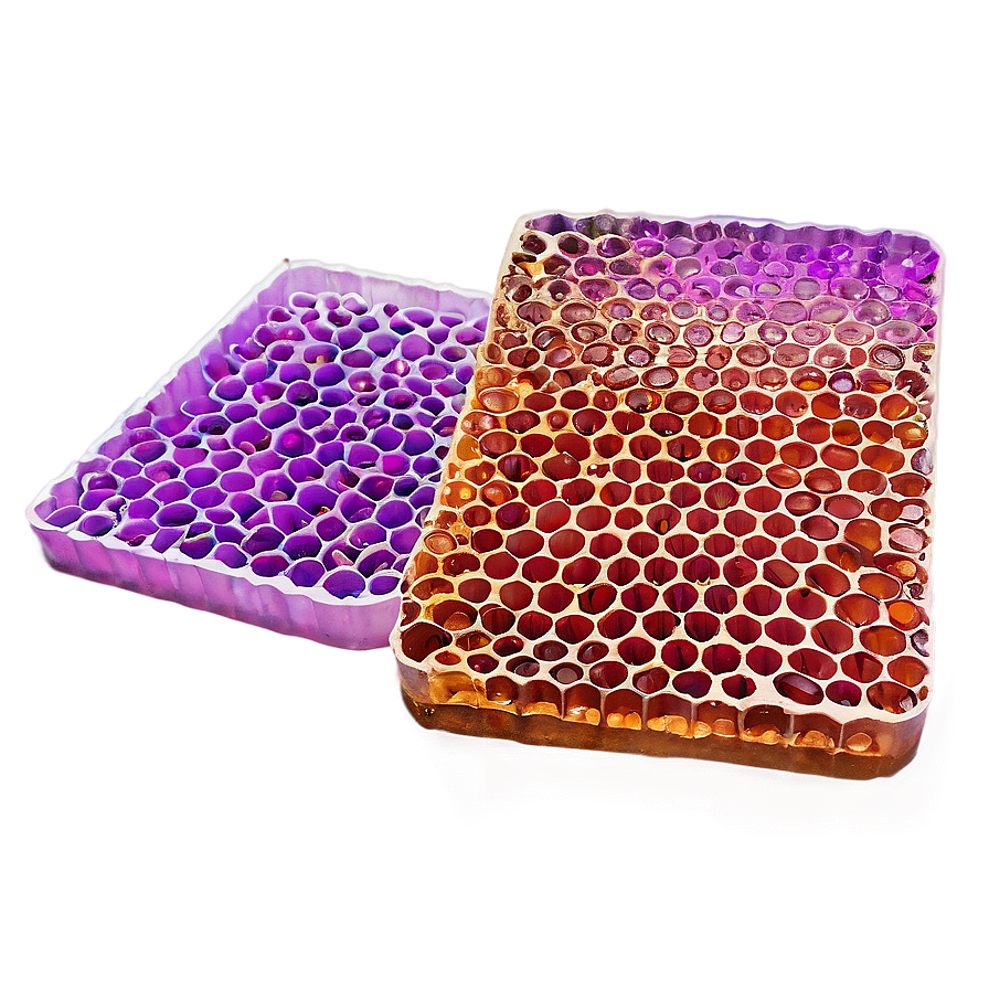 Honeycomb For Design Projects Png Krj PNG Image