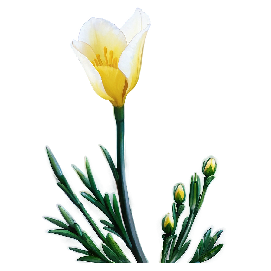 Hopeful Freesia Png Vsp84 PNG Image