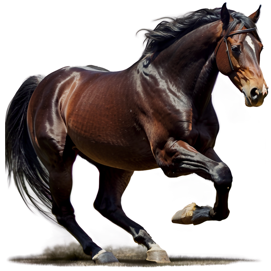 Horse Chase Dynamic Png Tte58 PNG Image