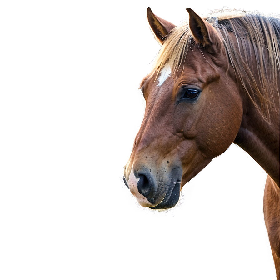 Horse Farm Png Hof16 PNG Image