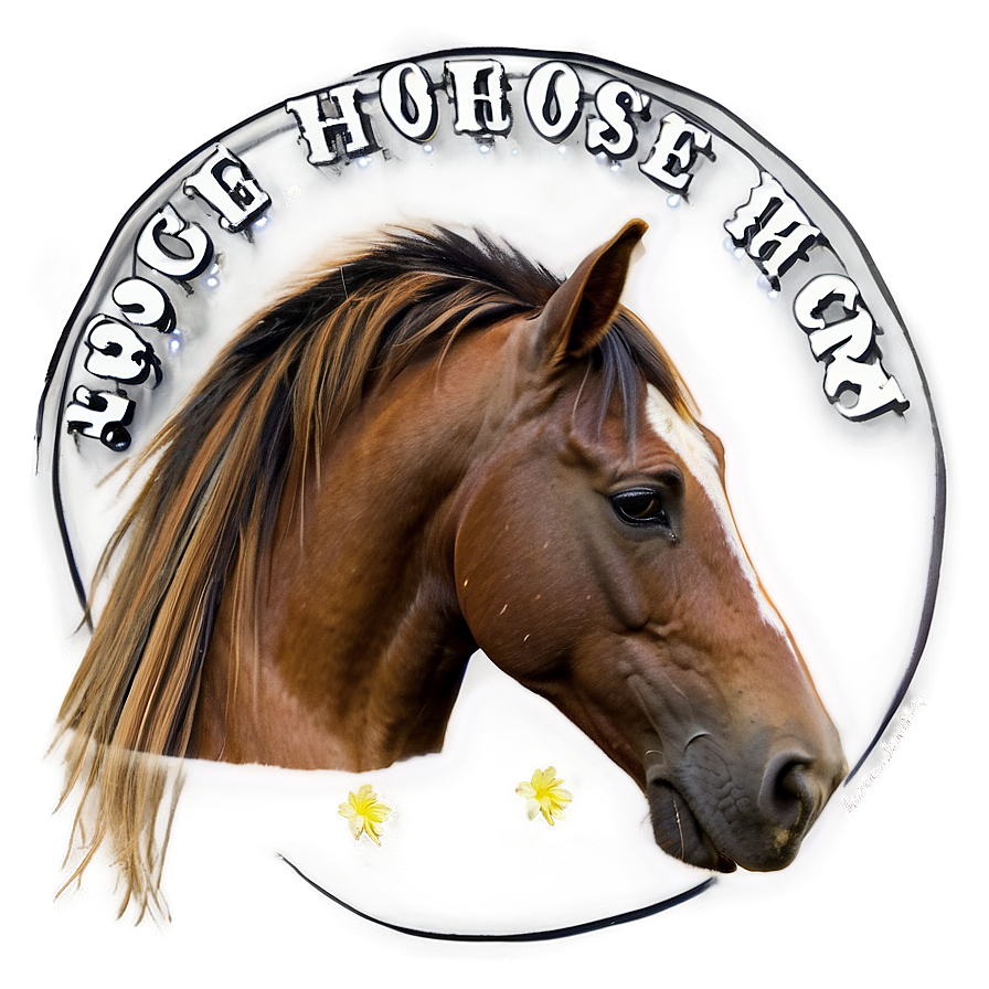 Horse Grooming Excellence Png Yfa PNG Image