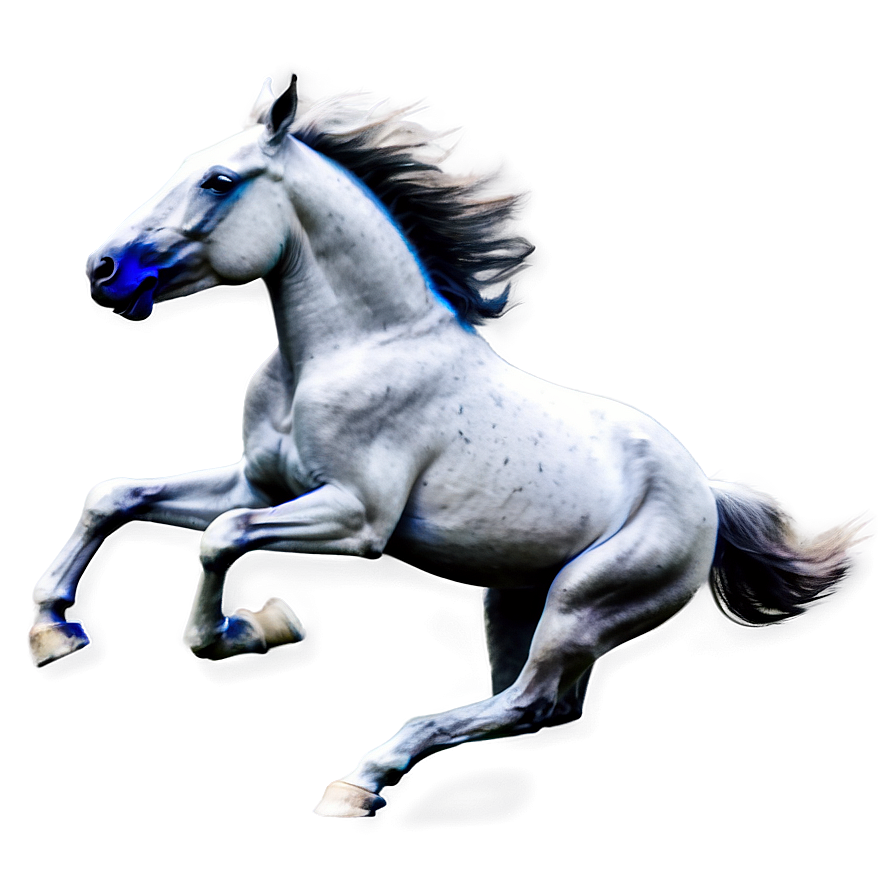 Horse Running Png Rjn PNG Image