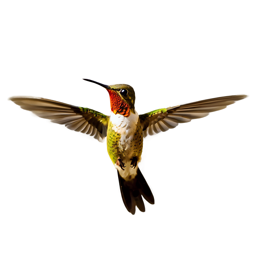 Hovering Hummingbird Png 06112024 PNG Image