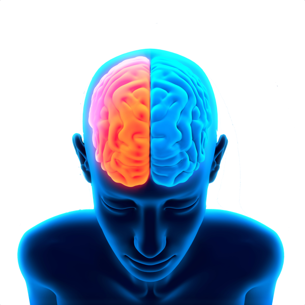 Human Brain Activity Illustration PNG Image