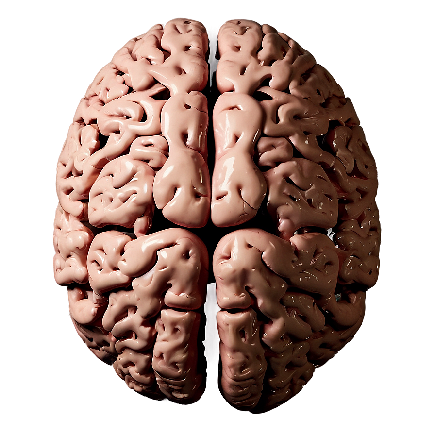 Human Brain Health Tips Png Nsp PNG Image