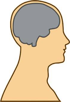 Human Brain Silhouette PNG Image