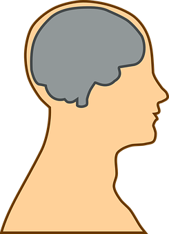 Human Brain Silhouette PNG Image