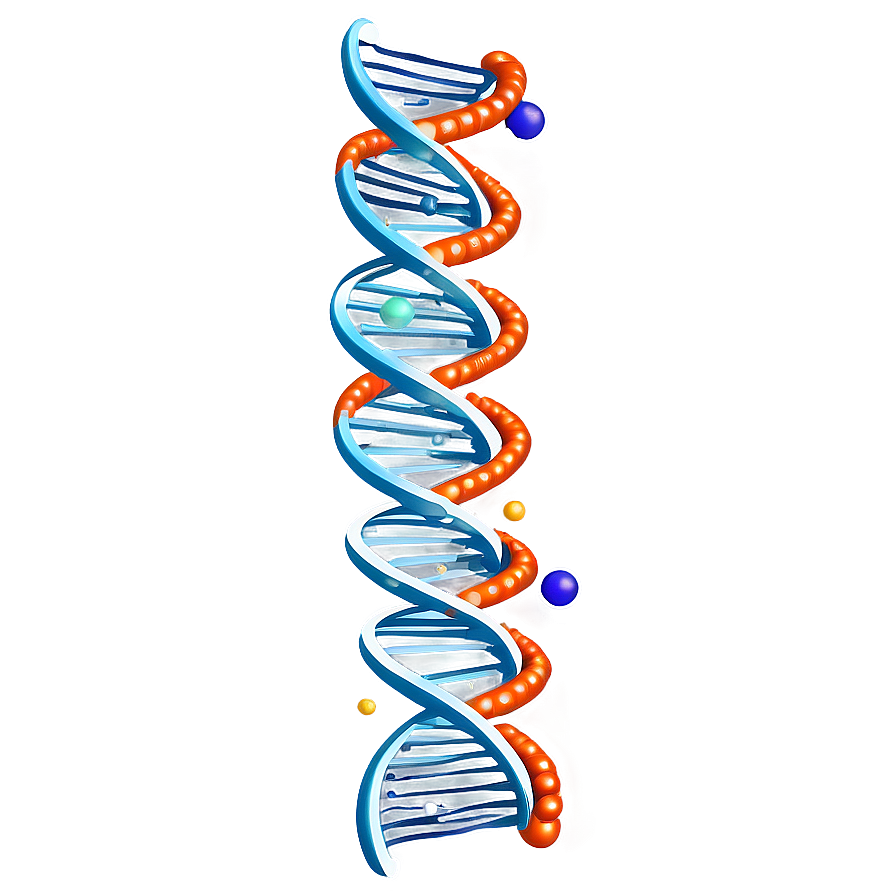 Human Dna Structure Png Fmi53 PNG Image