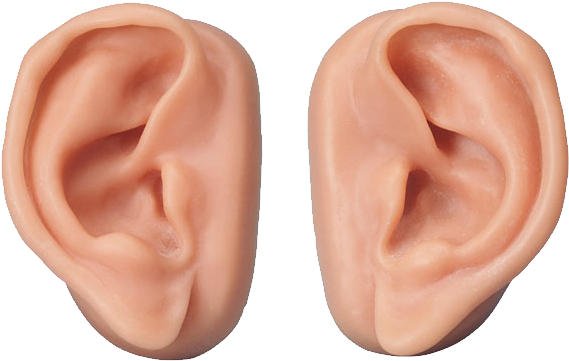 Human Ears Pair Isolated PNG Image