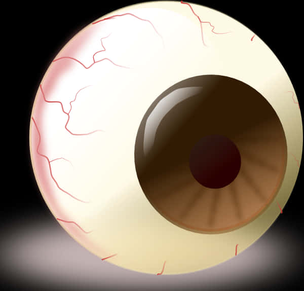 Human Eye Illustration PNG Image