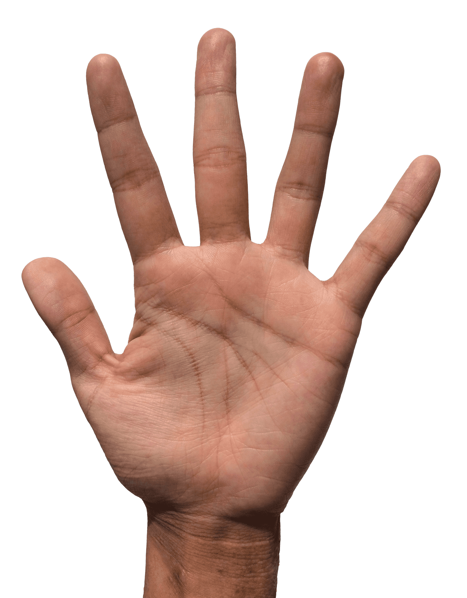 Human Hand Open Palm Fingers Spread PNG Image