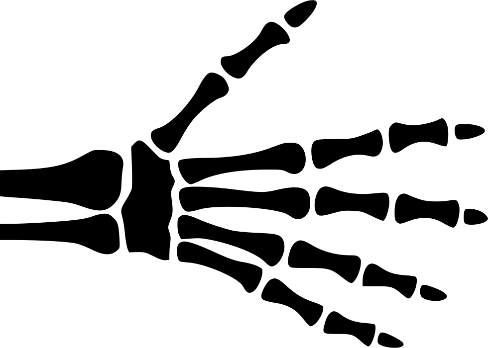 Human Hand Xray Outline PNG Image