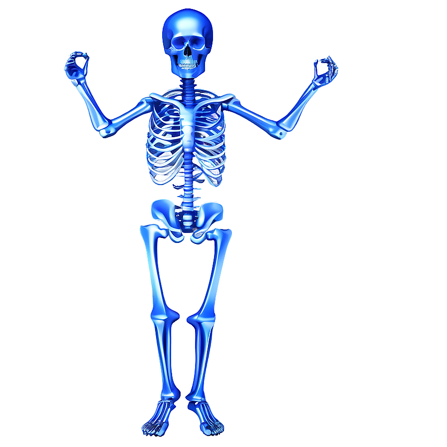 Human Skeleton For Medical Reference Png Tja37 PNG Image