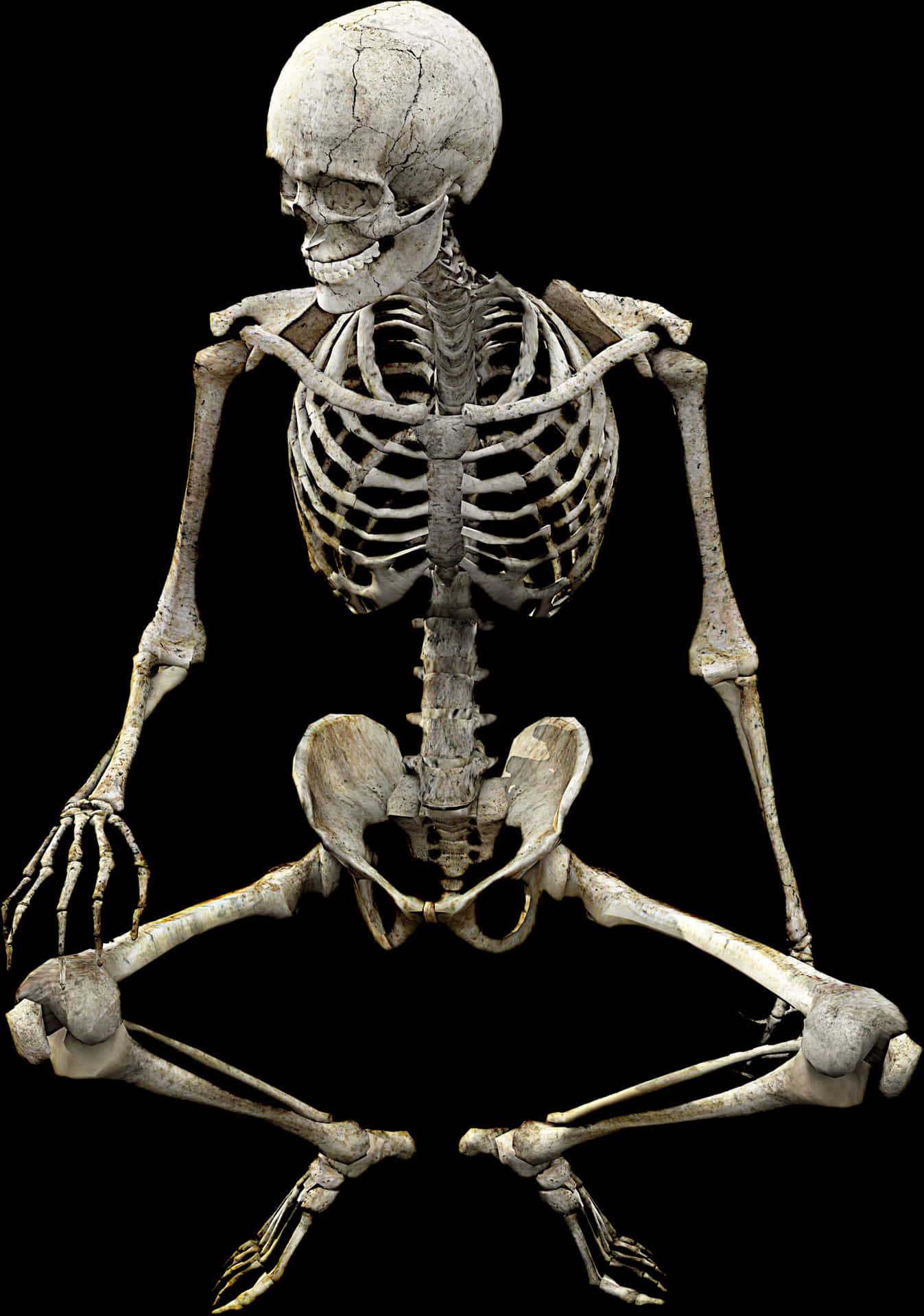 Human Skeleton Isolatedon Black PNG Image