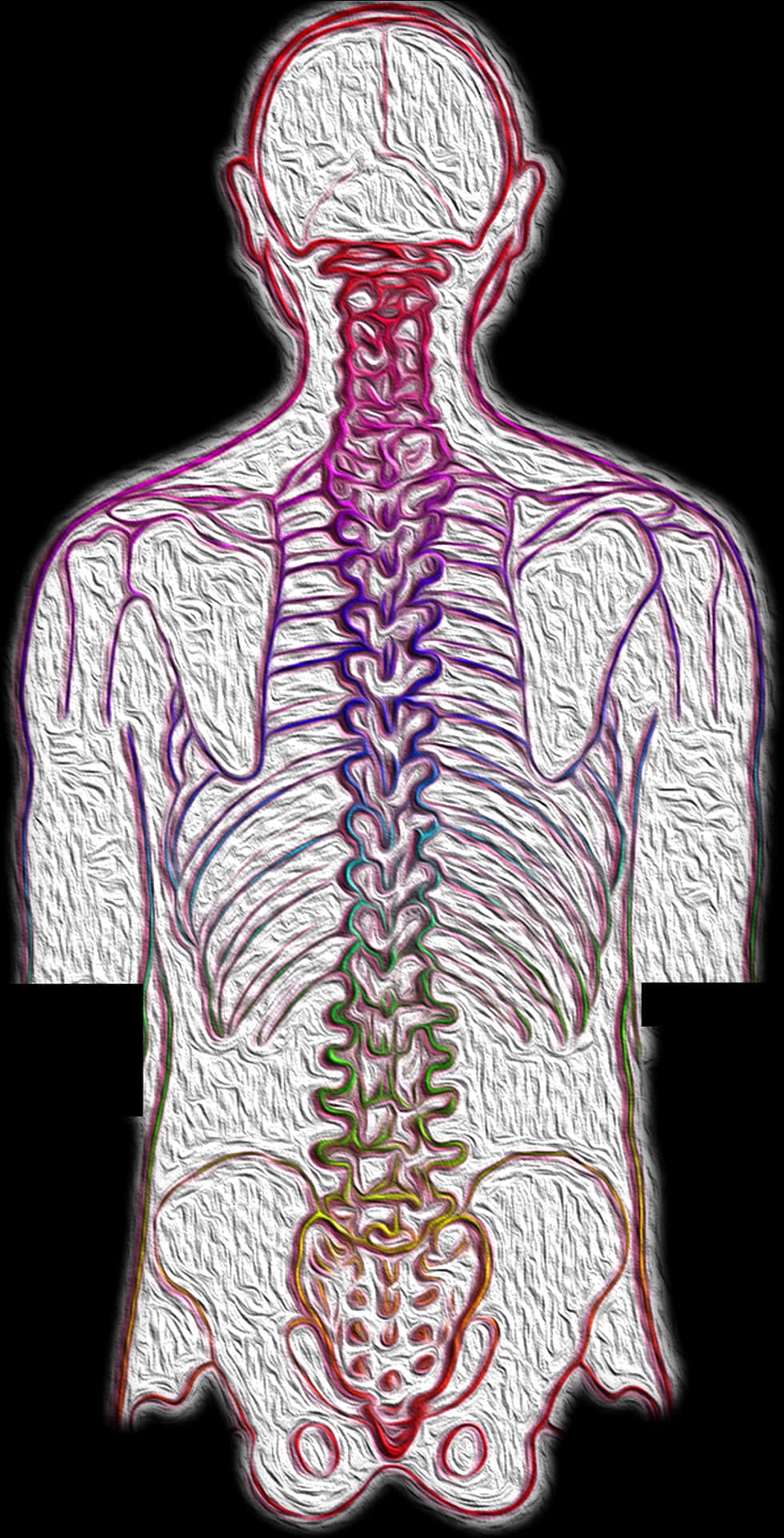 Human Spine Pain Artistic Representation PNG Image