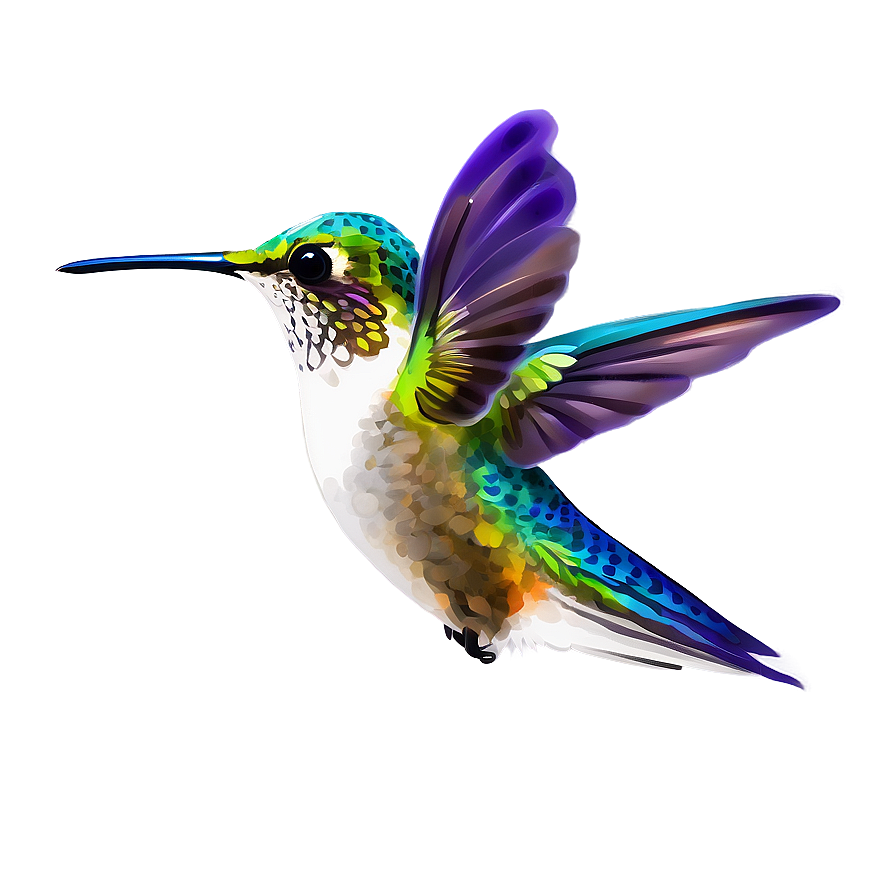 Hummingbird Profile Png Piv PNG Image