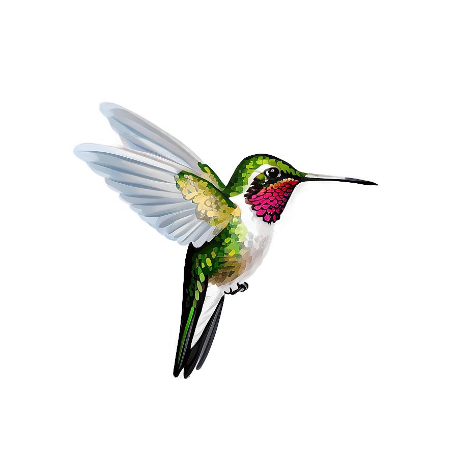 Hummingbird Side View Png Okn80 PNG Image