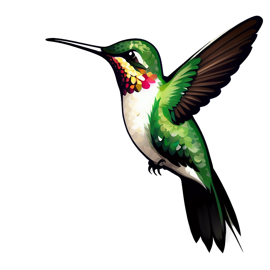 Hummingbird Vector Graphic Png 05212024 PNG Image