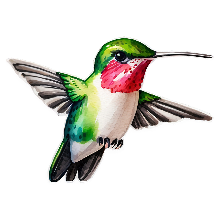 Hummingbird Watercolor Png 73 PNG Image