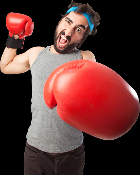 Humorous Boxer Readyfor Action PNG Image