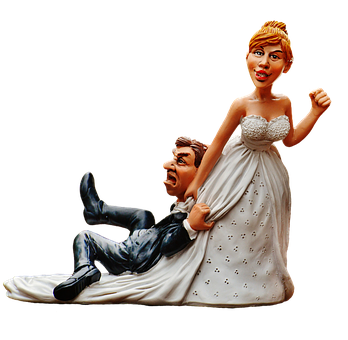 Humorous Wedding Cake Topper PNG Image