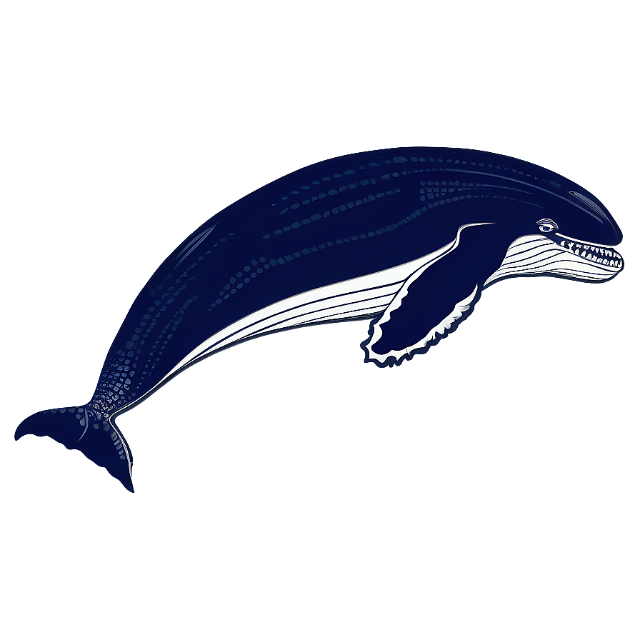 Humpback Whale Ancient Drawing Png Jib PNG Image