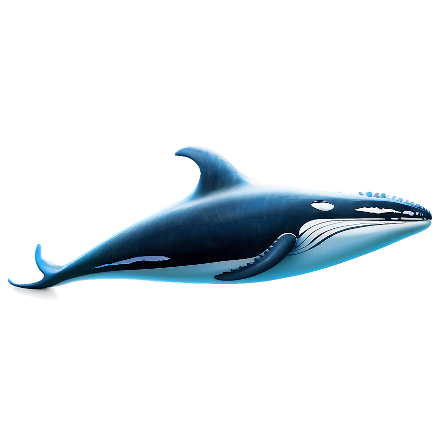 Humpback Whale Environmental Icon Png 06212024 PNG Image