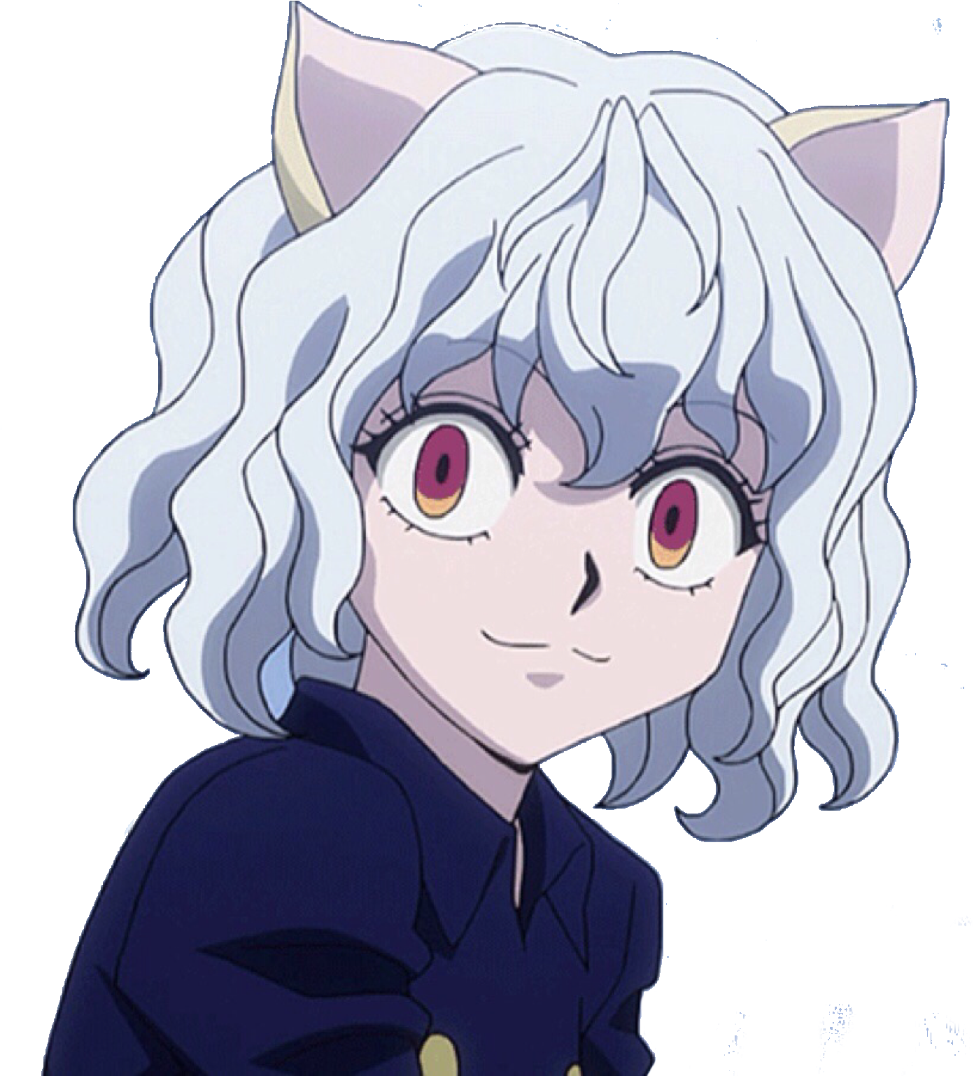 Hunter X Hunter Character With White Hairand Cat Ears PNG Image