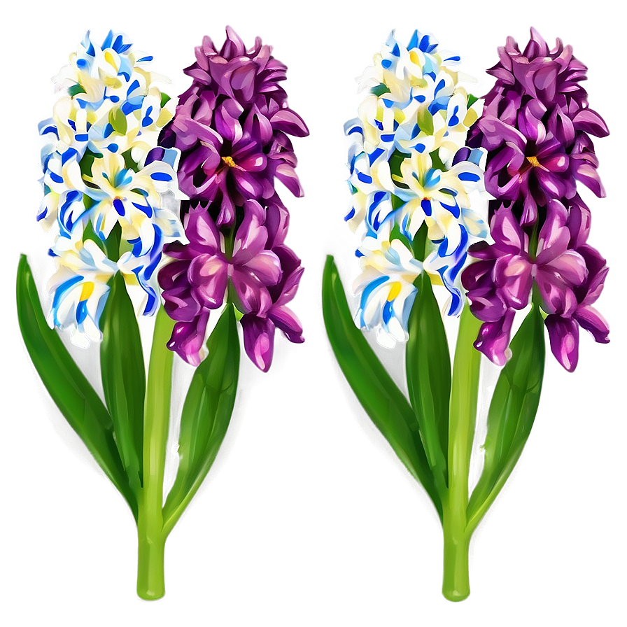 Hyacinth Flower Illustration Png Mei59 PNG Image