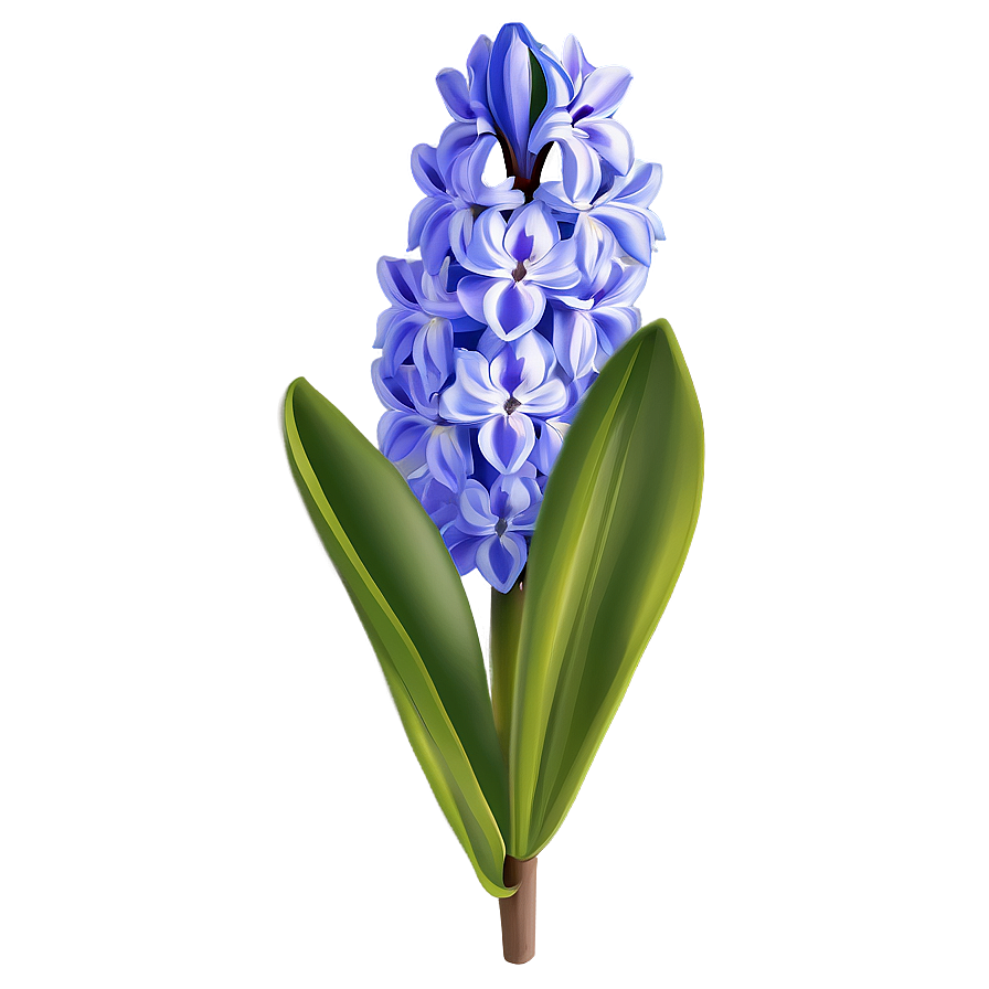 Hyacinth Flower Illustration Png Xju18 PNG Image