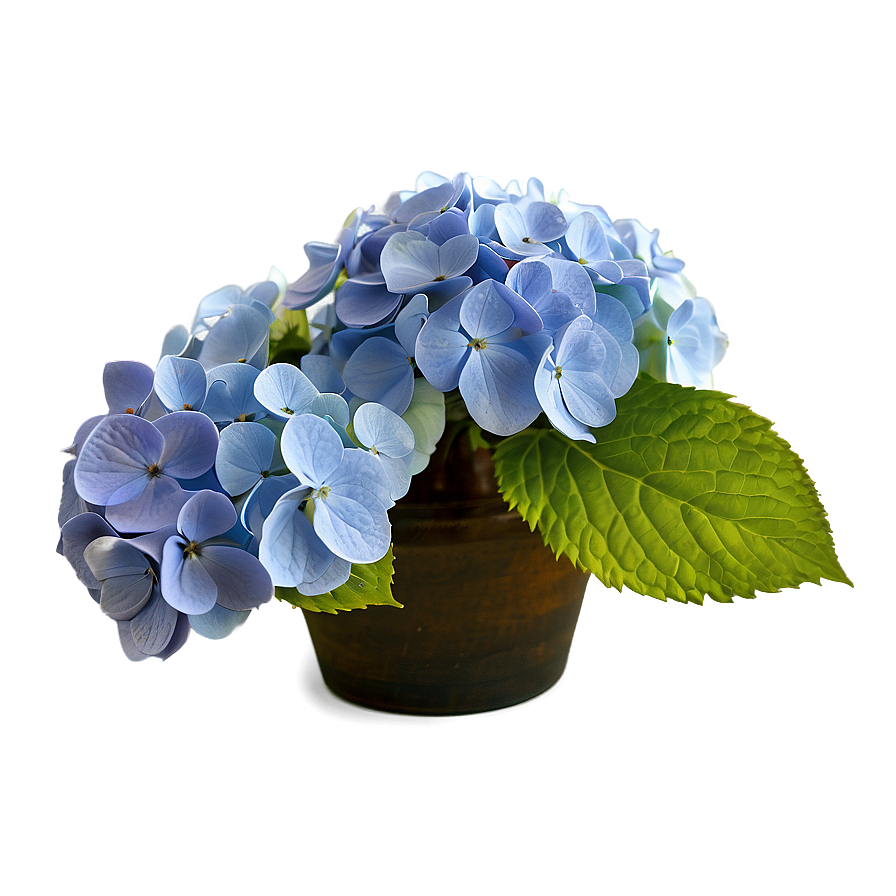 Hydrangea Arrangement Png 96 PNG Image