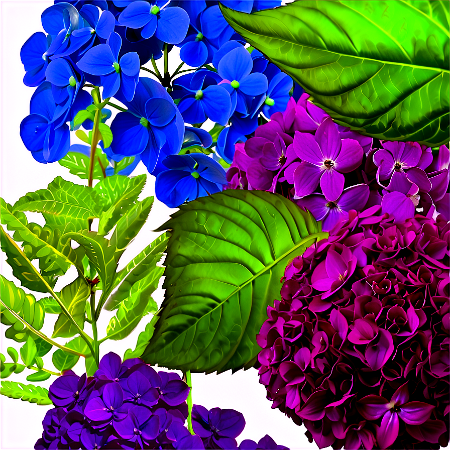 Hydrangea Background Png Glv52 PNG Image