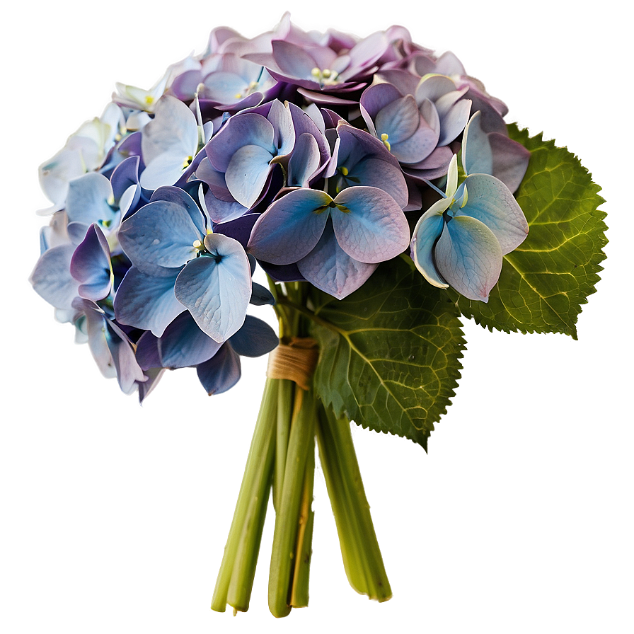 Hydrangea Bouquet Png 35 PNG Image