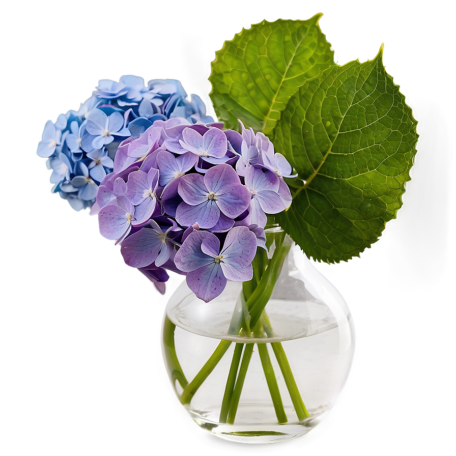 Hydrangea In Vase Png Igb60 PNG Image