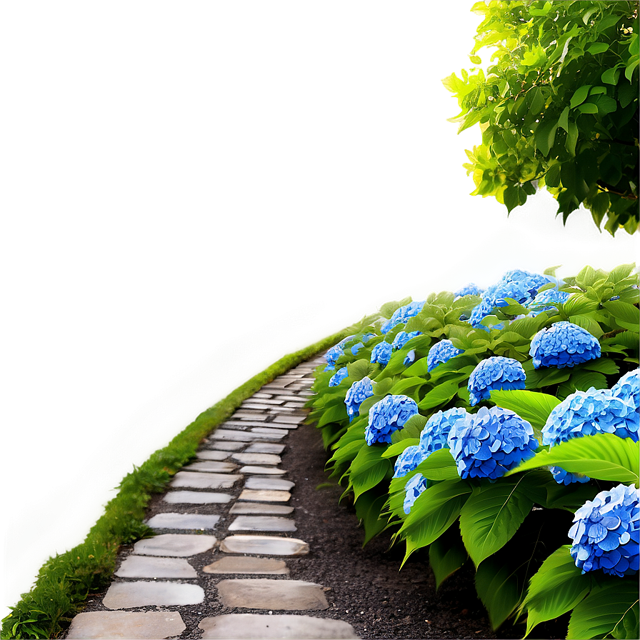 Hydrangea Path Png Ttc22 PNG Image