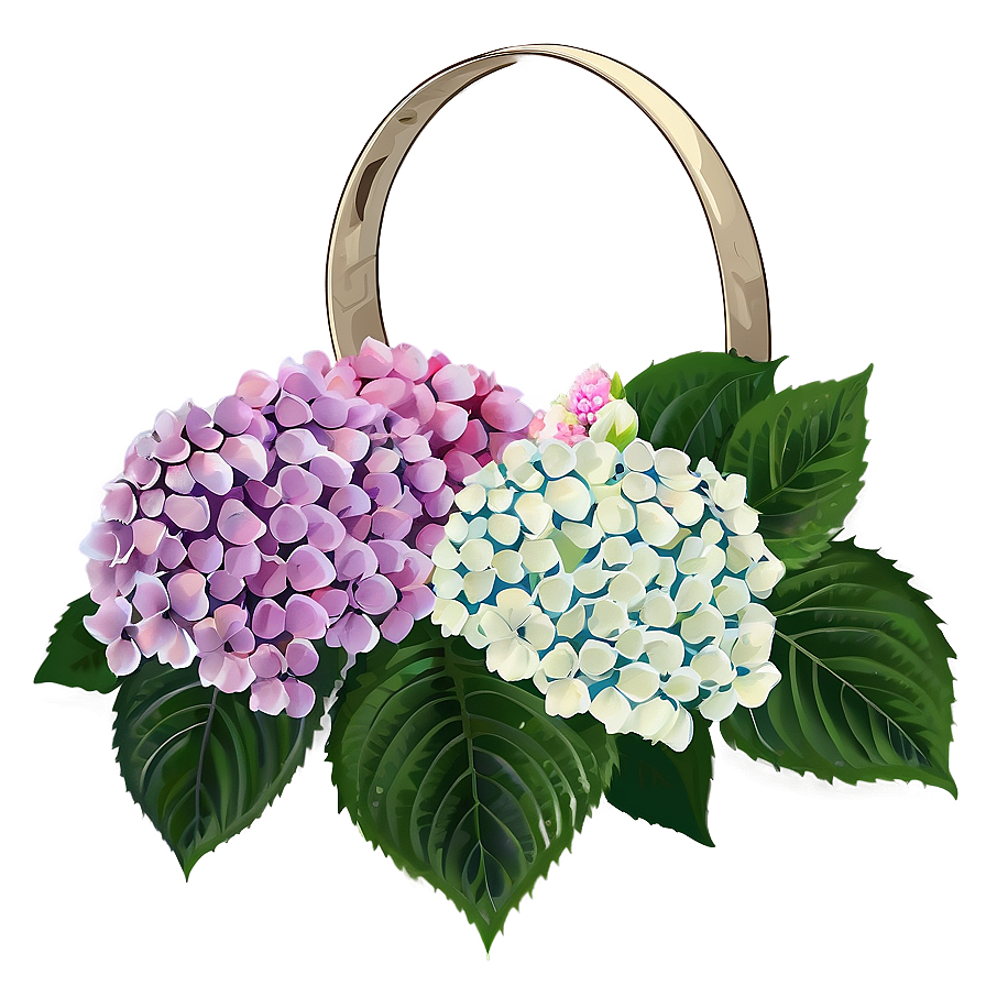 Hydrangea Wedding Png Opd16 PNG Image