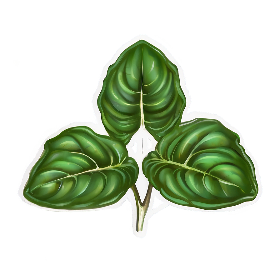 Hydroponic Basil Png 06122024 PNG Image