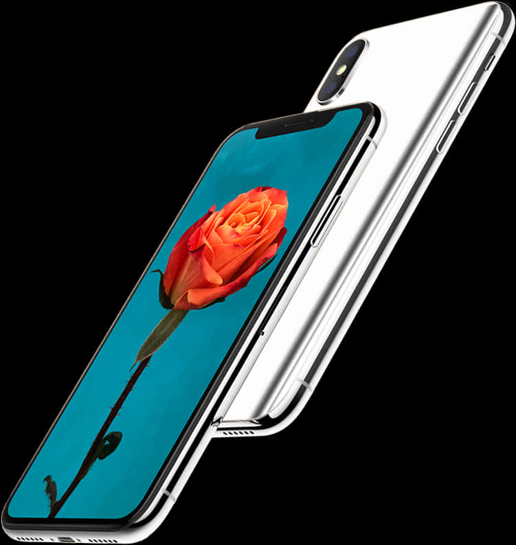 I Phone With Red Rose Wallpaper PNG Image