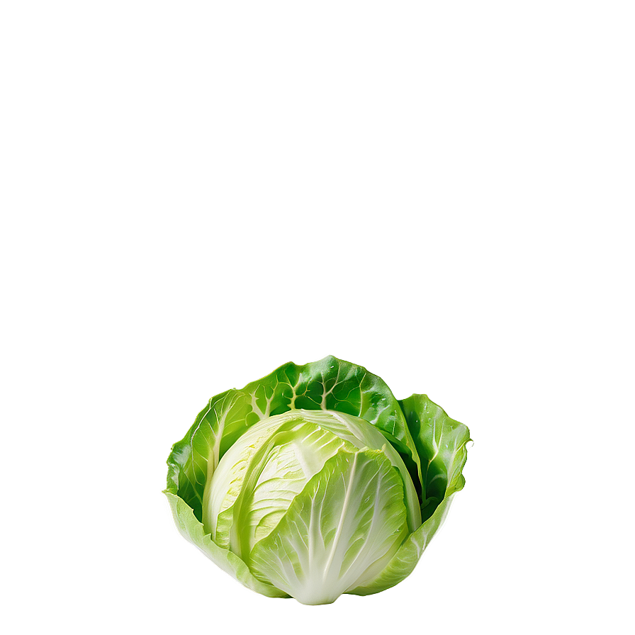 Iceberg Lettuce Png 3 PNG Image