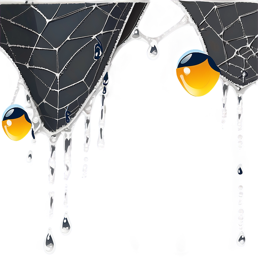 Icy Spider Webwith Dew Dropsand Birds PNG Image