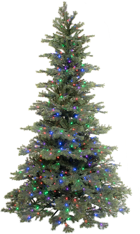 Illuminated Christmas Tree.png PNG Image