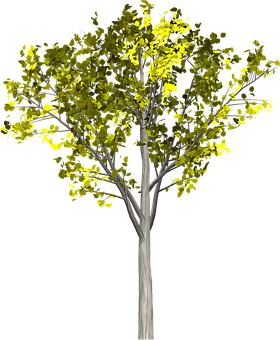 Illuminated Tree Against Dark Background PNG Image