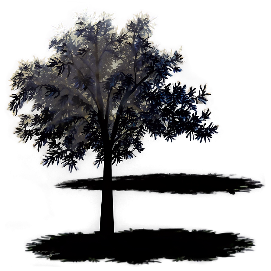 Illuminated Tree Shadow Png Cjl PNG Image